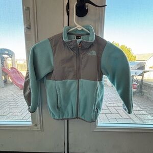 The North Face Aqua Fleece Jacket